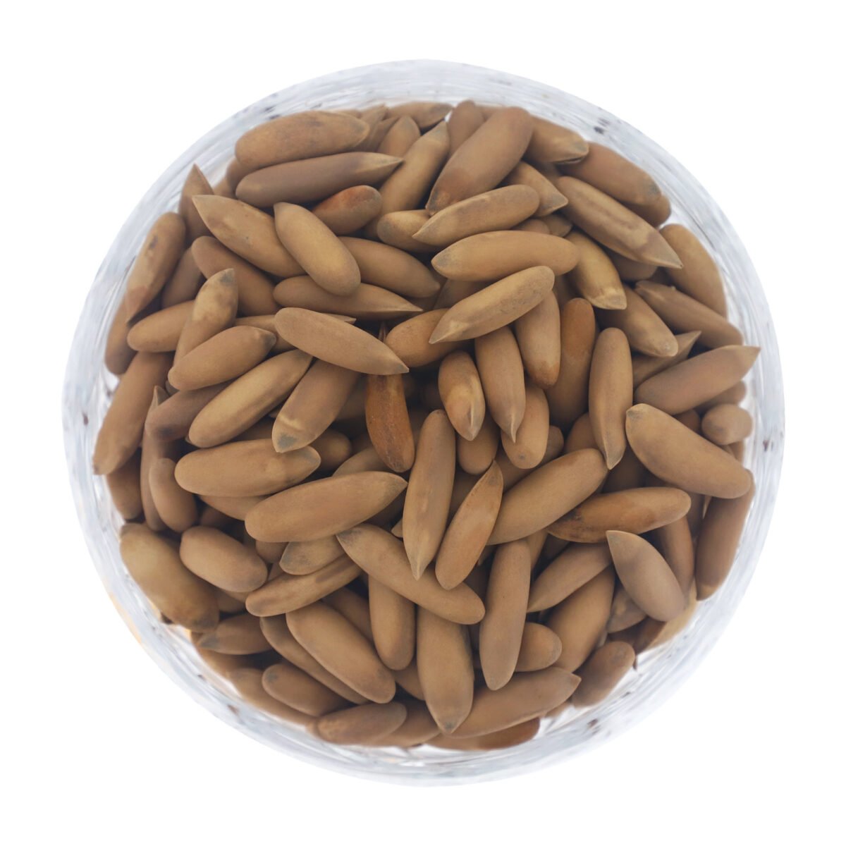 Pine Nuts in Shell | Chilgoza - Image 1